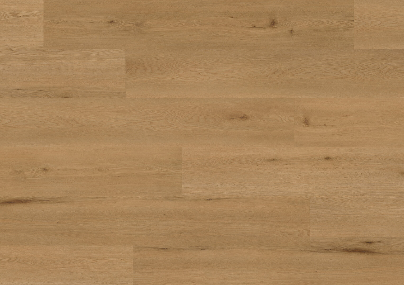 Pavimento vinilico de soja Solid Roble Lyon - Imagen 2